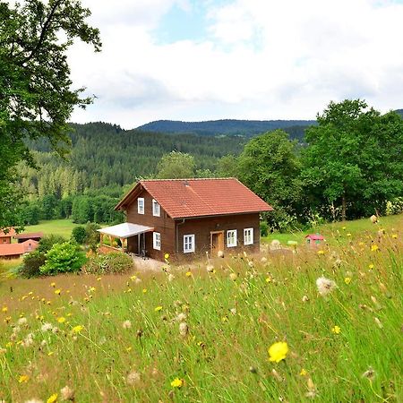 Comfort Apartment With Balcony In The Beautiful Bavarian Forest Drachselsried Buitenkant foto