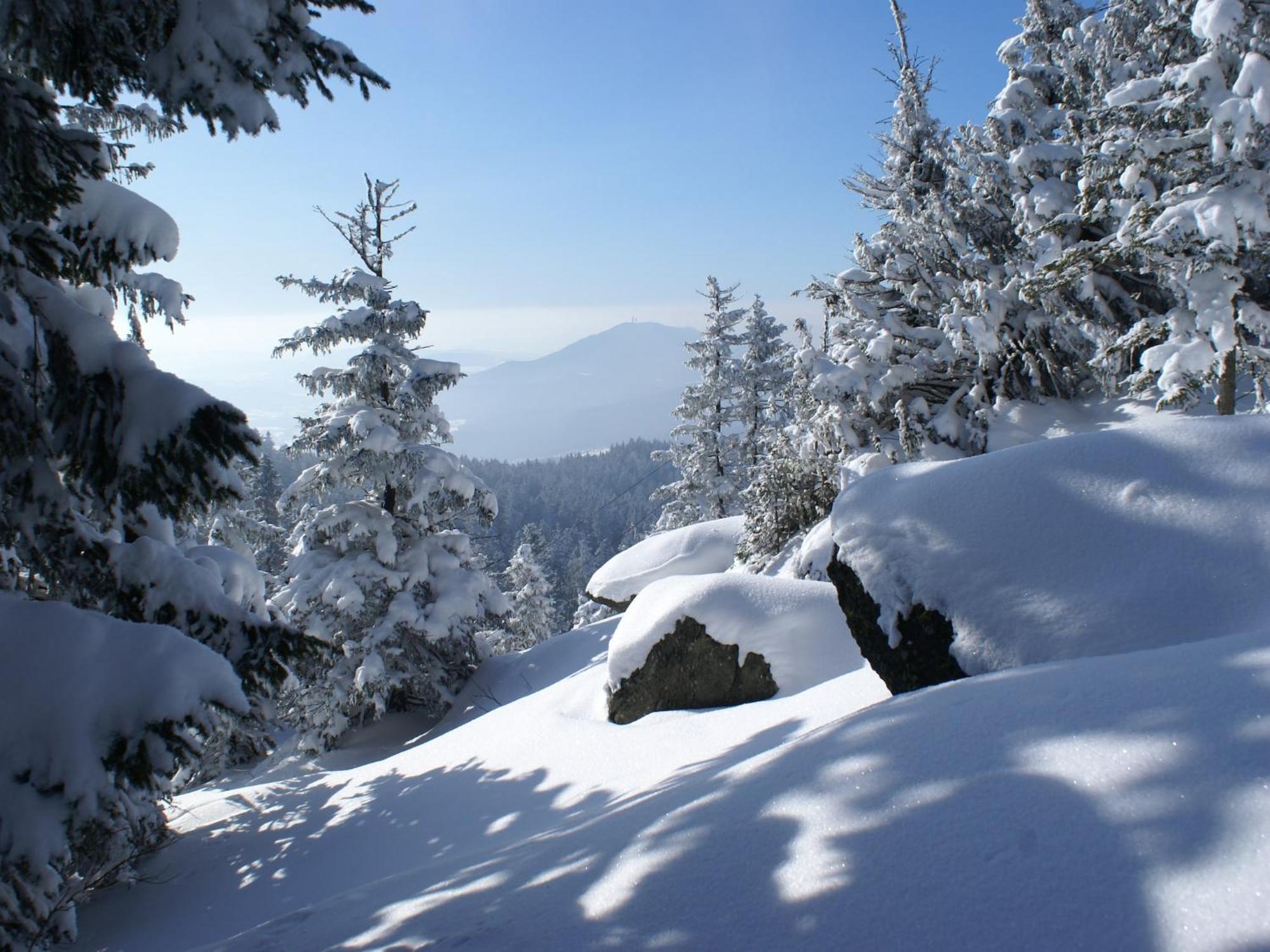 Comfort Apartment With Balcony In The Beautiful Bavarian Forest Drachselsried Buitenkant foto