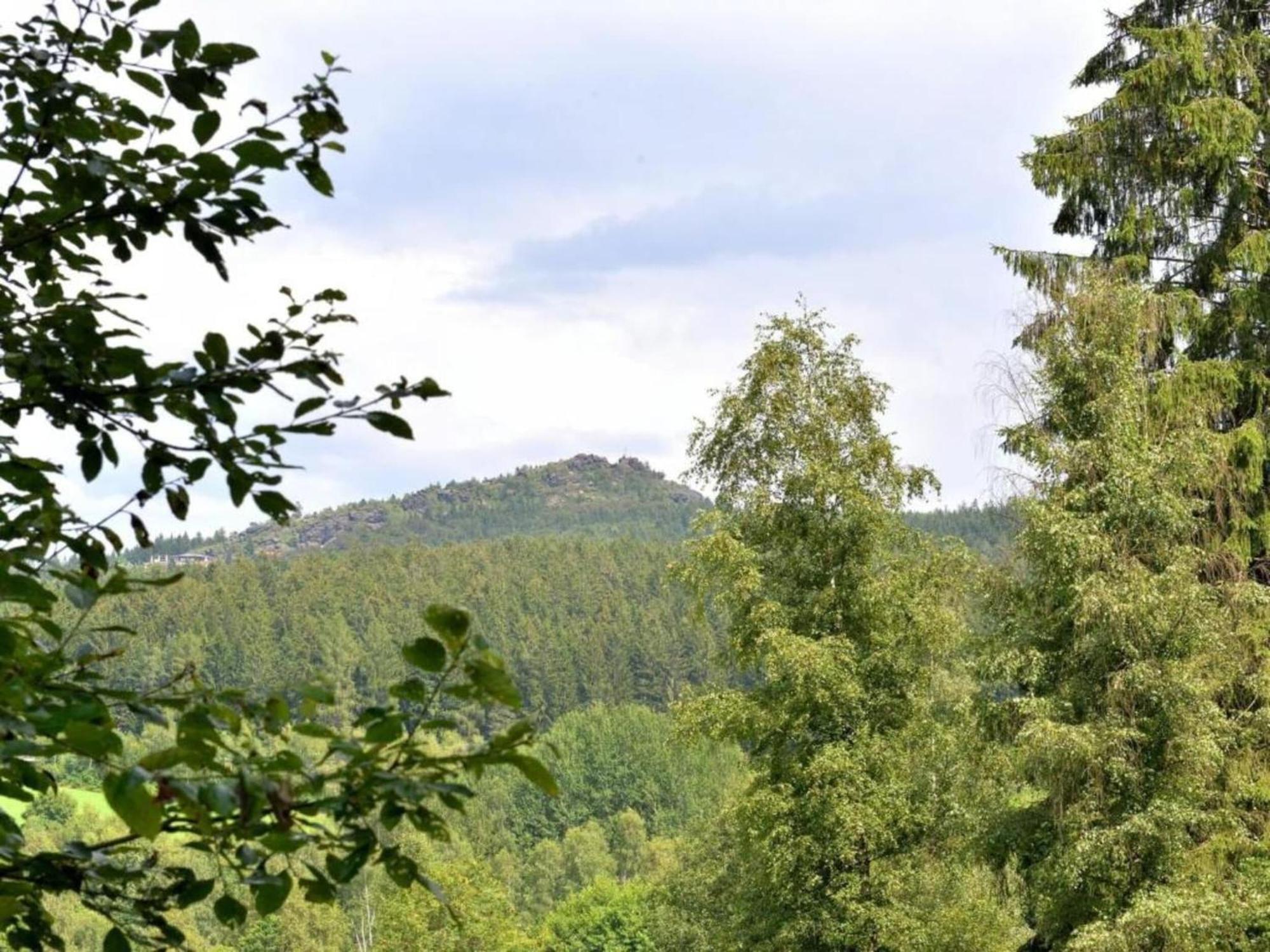 Comfort Apartment With Balcony In The Beautiful Bavarian Forest Drachselsried Buitenkant foto
