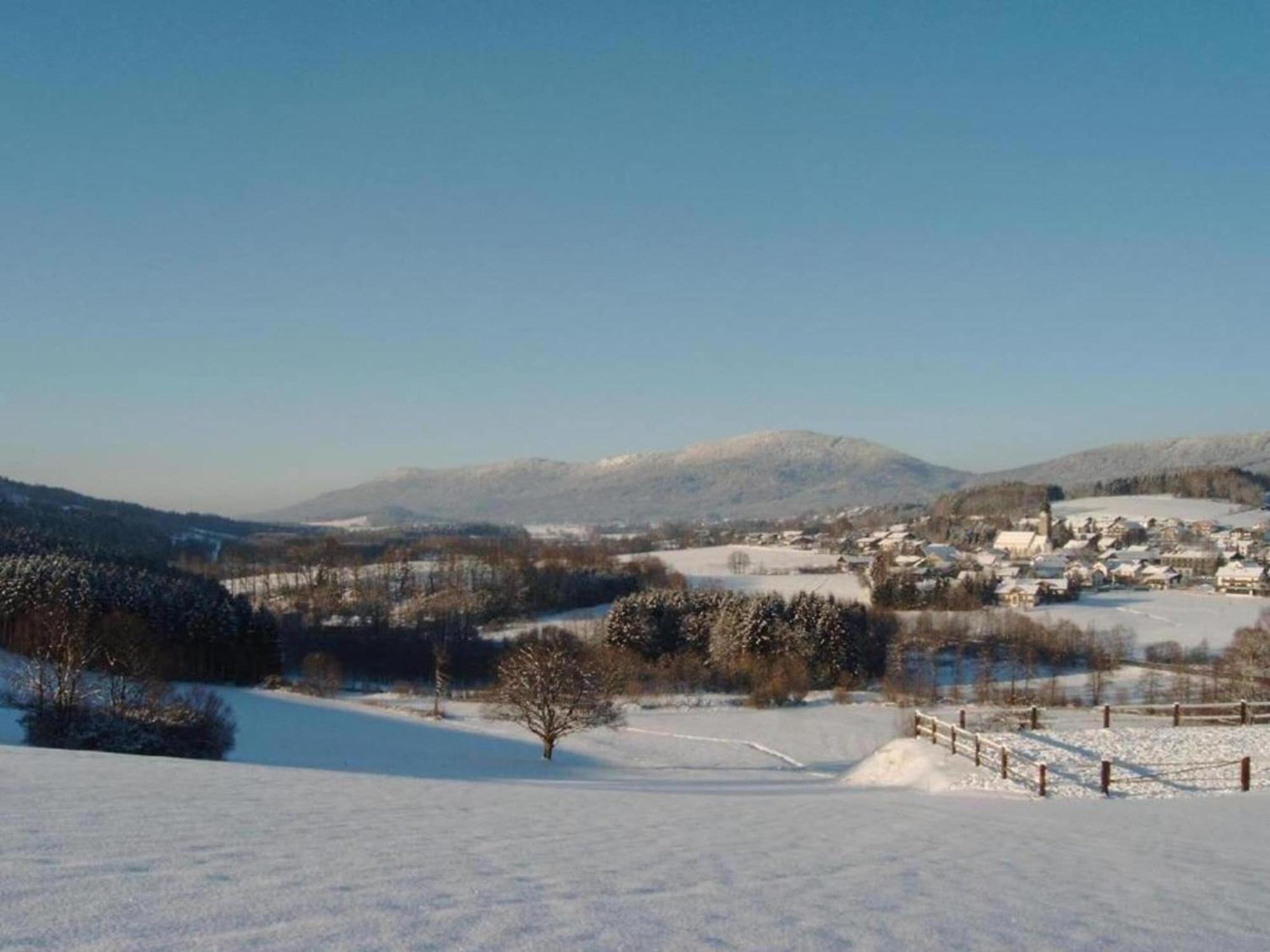 Comfort Apartment With Balcony In The Beautiful Bavarian Forest Drachselsried Buitenkant foto