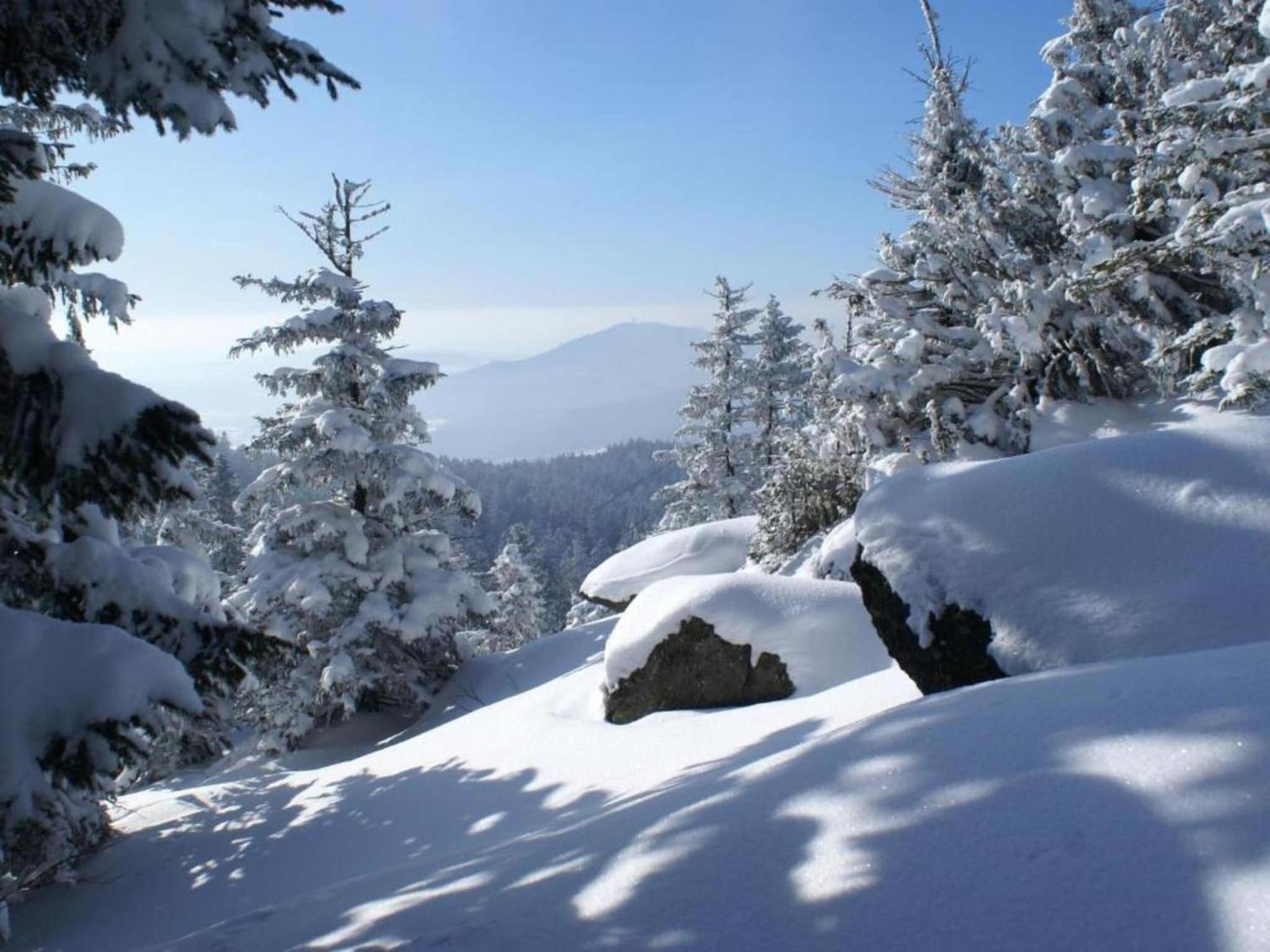 Comfort Apartment With Balcony In The Beautiful Bavarian Forest Drachselsried Buitenkant foto