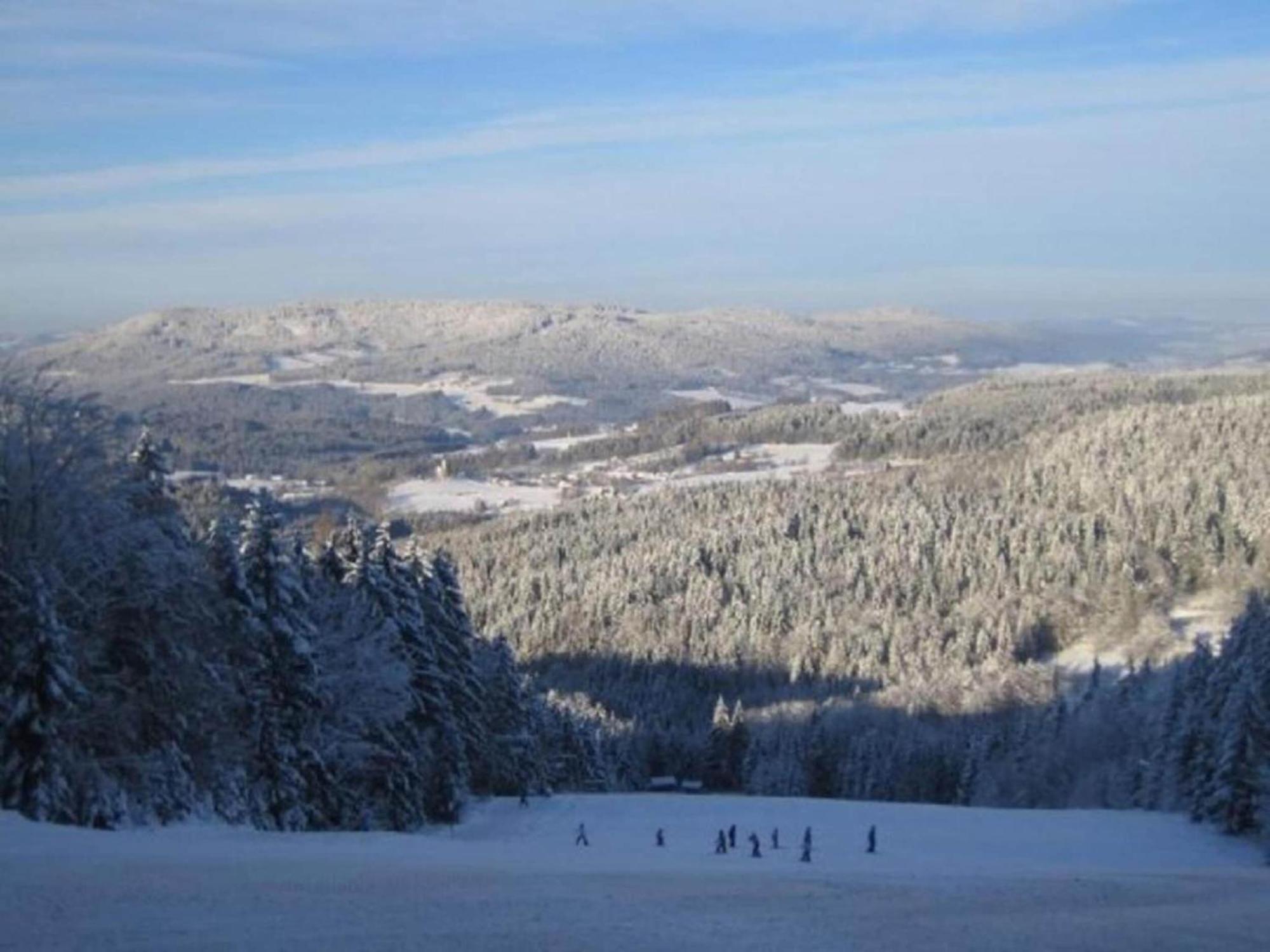 Comfort Apartment With Balcony In The Beautiful Bavarian Forest Drachselsried Buitenkant foto