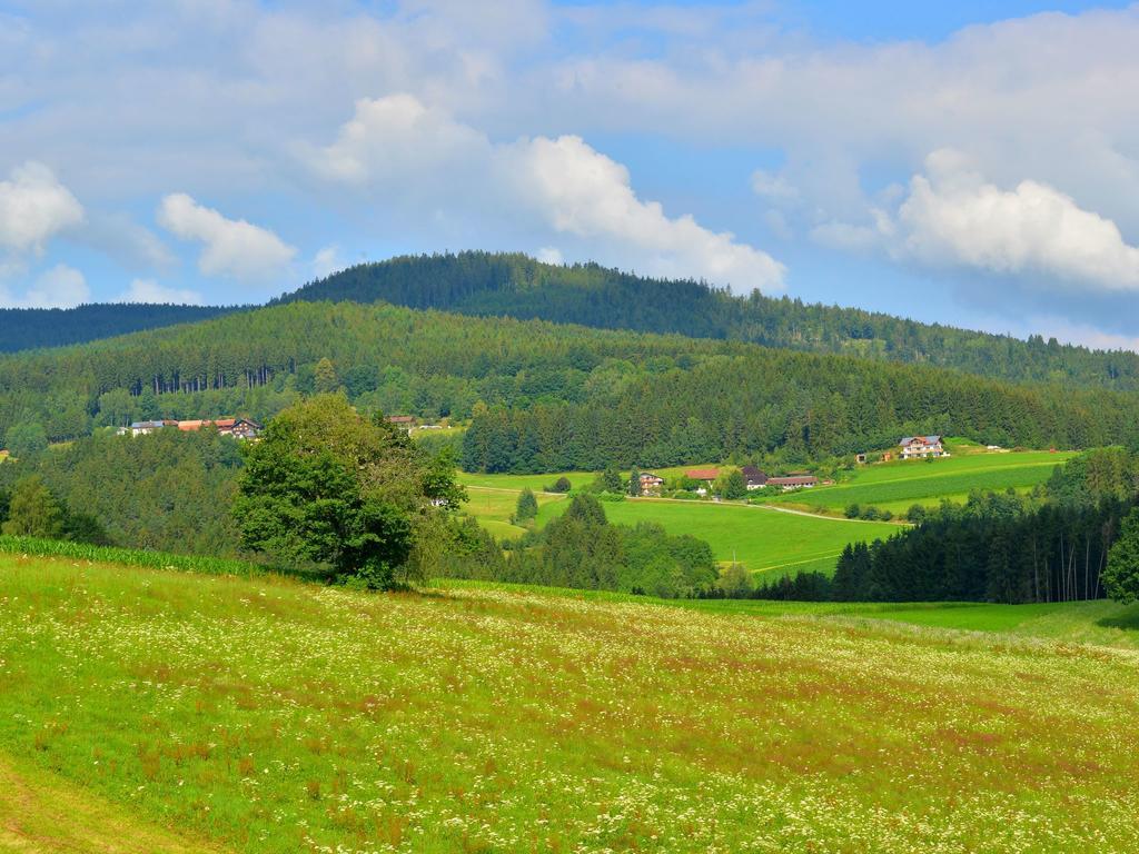 Comfort Apartment With Balcony In The Beautiful Bavarian Forest Drachselsried Buitenkant foto